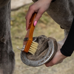 QHP Grooming sæt ROYAL - Naturbørster i æske /Brun - Hovrenser med børste vist på heste hov
